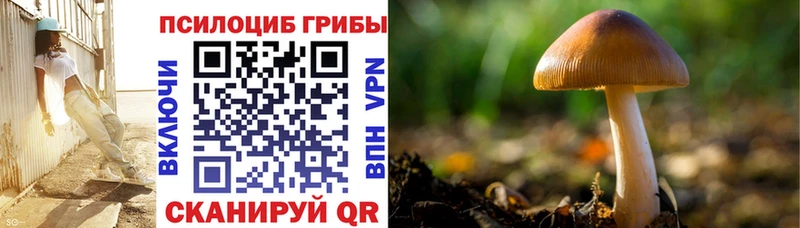 Галлюциногенные грибы GOLDEN TEACHER  Солнечногорск 